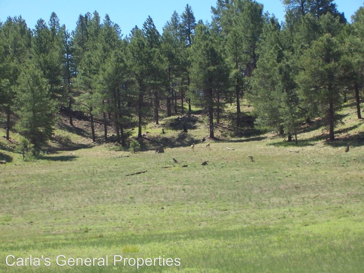 3418 Happy Trails Dr - Photo 2 of 2