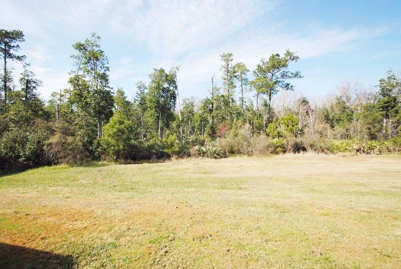 3210 Open Meadow Loop - Photo 3 of 14