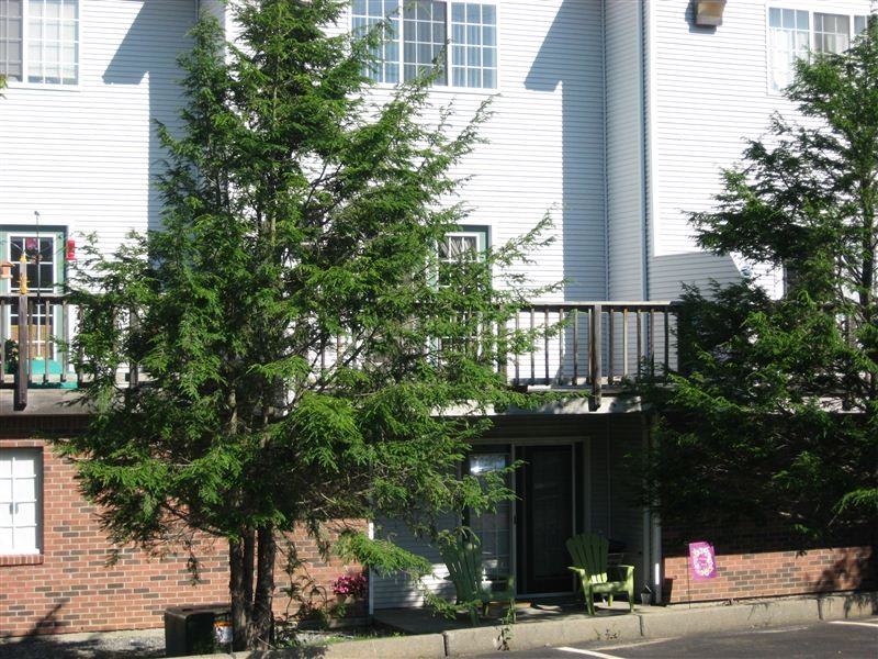 River's Edge - Photo 3 of 3