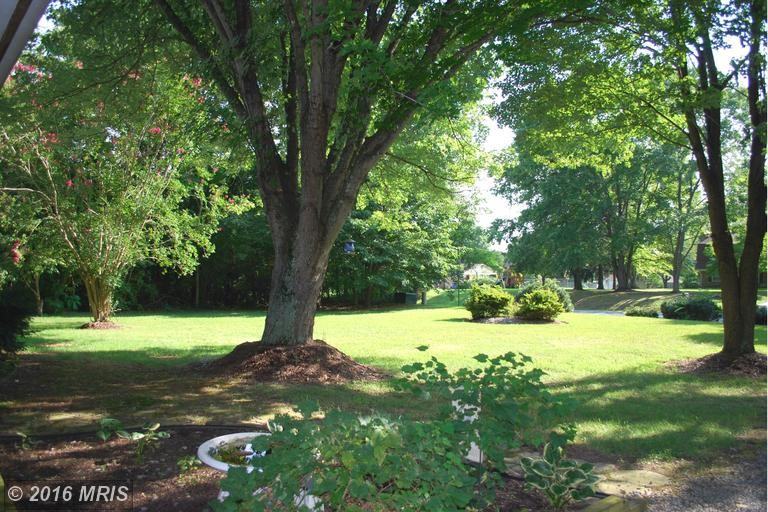 8880 Sparrow Ct - Photo 2 of 19