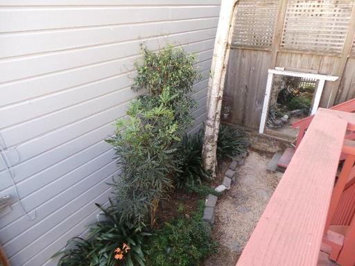 1201 Sanchez St - Photo 3 of 9