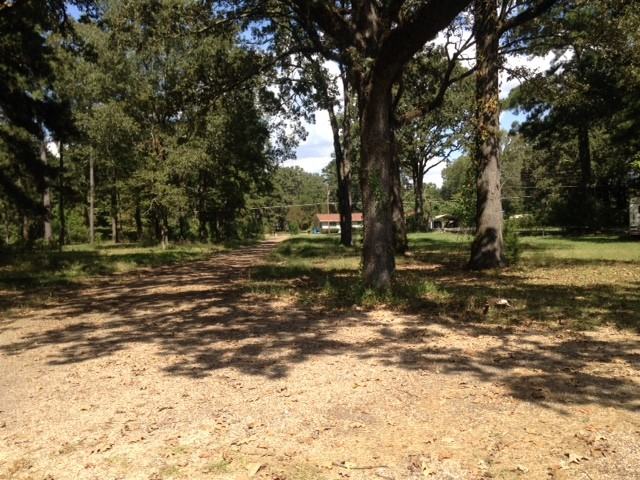 303 Morgan Hare Rd - Photo 2 of 13