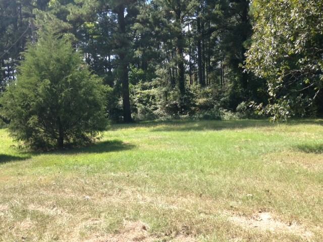 303 Morgan Hare Rd - Photo 3 of 13