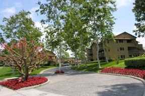 Flower Fields - Photo 2 of 6