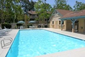 Flower Fields - Photo 3 of 6