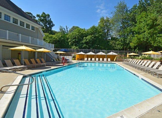 Henry - Photo 2 of 2