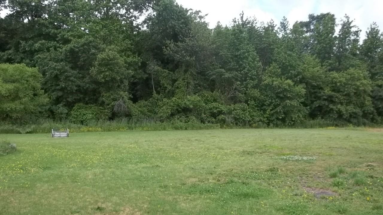 5800 Forest Grove Rd - Photo 3 of 3