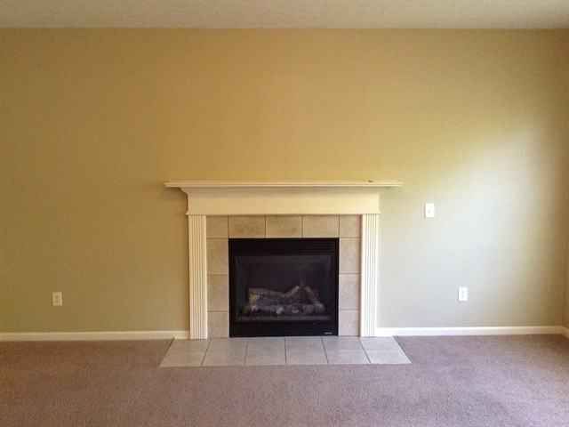 243 Bluff Ridge Dr - Photo 2 of 10