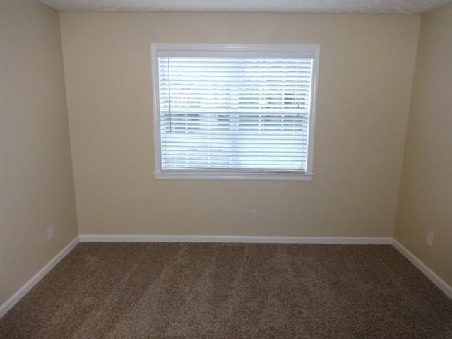 3219 Leprechaun Ln - Photo 2 of 16