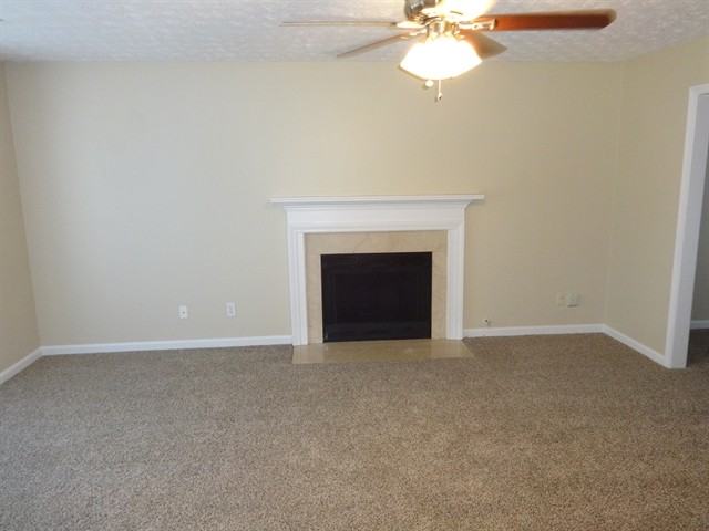3219 Leprechaun Ln - Photo 3 of 16