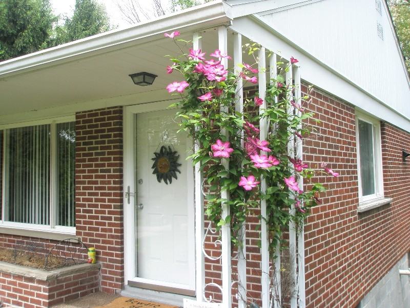 117 Lovell St - Photo 3 of 26