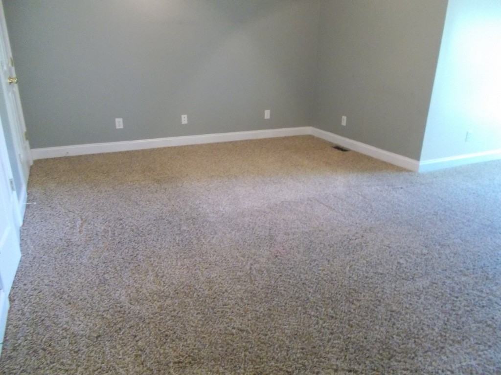 131 Raccoon Ln - Photo 2 of 9