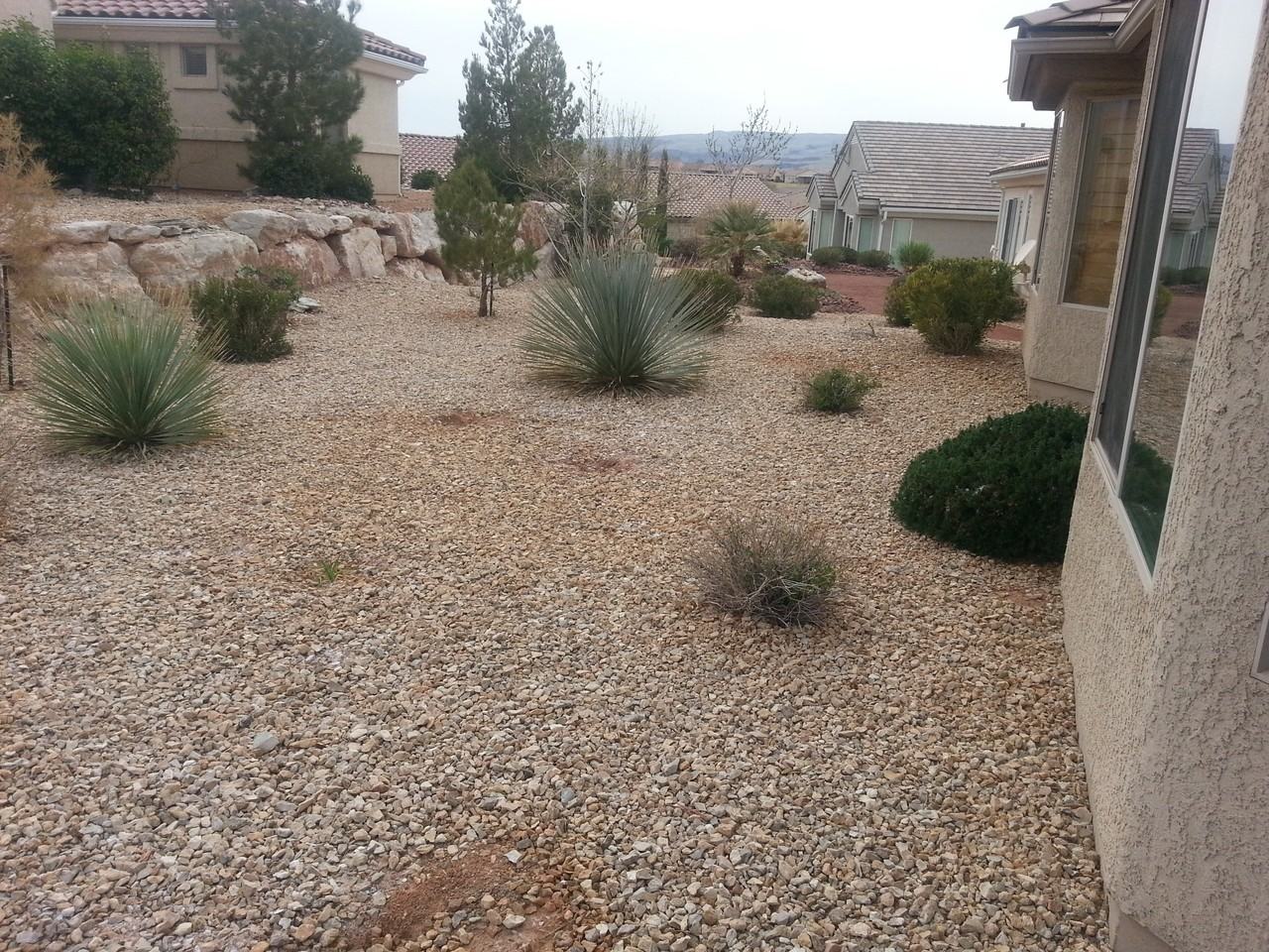 1417 W Summer Poppy Dr - Photo 2 of 22