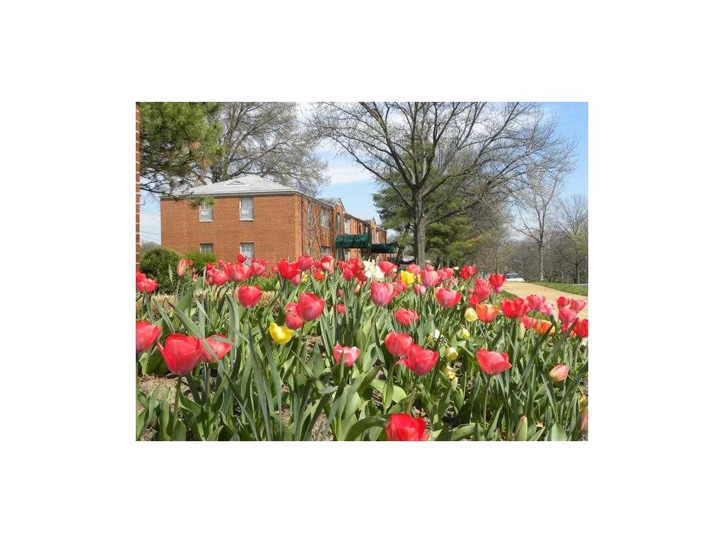 Hampton Gardens - Photo 3 of 20