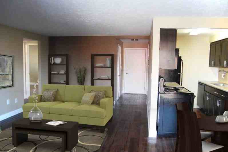 1265 Downing - Photo 3 of 19