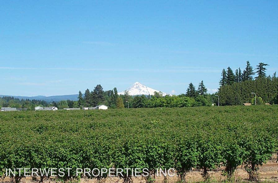 BEAVER CREEK MEADOWS II 3001-3029 S. TROUTDALE RD. - Photo 2 of 11