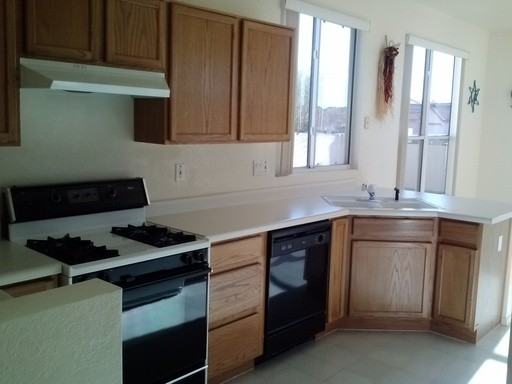 3091 W Cactus Tree Trail - Photo 2 of 19