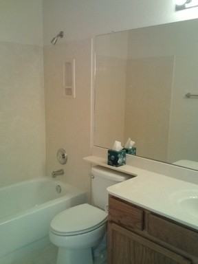 3091 W Cactus Tree Trail - Photo 3 of 19