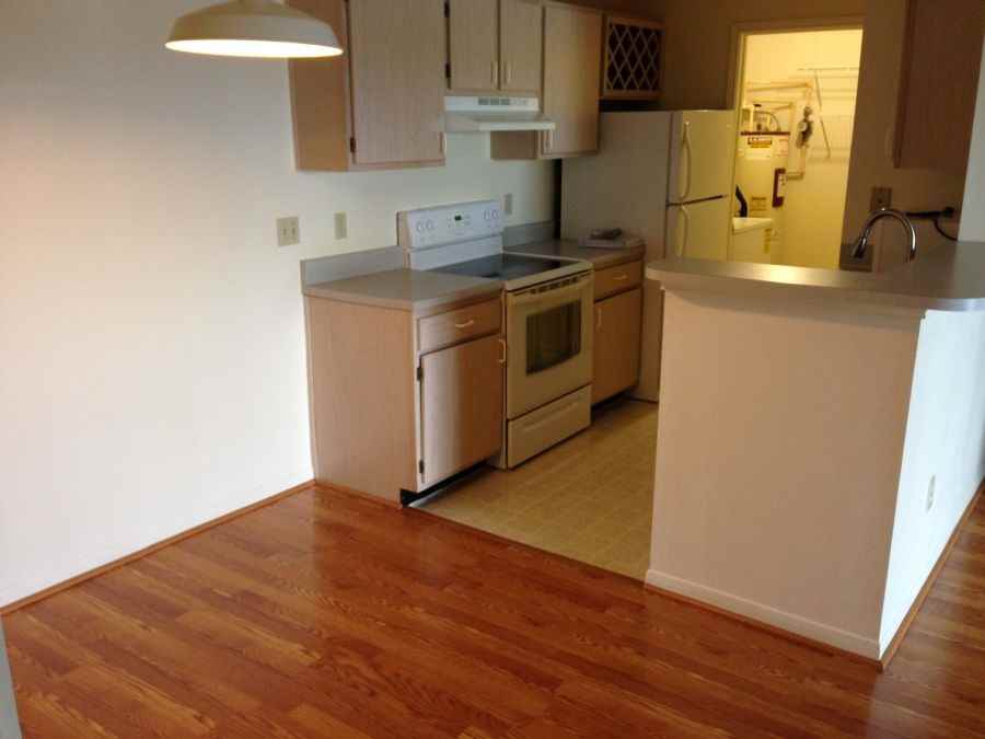 2521 Grassy Point Drive #213 - Photo 5 of 19