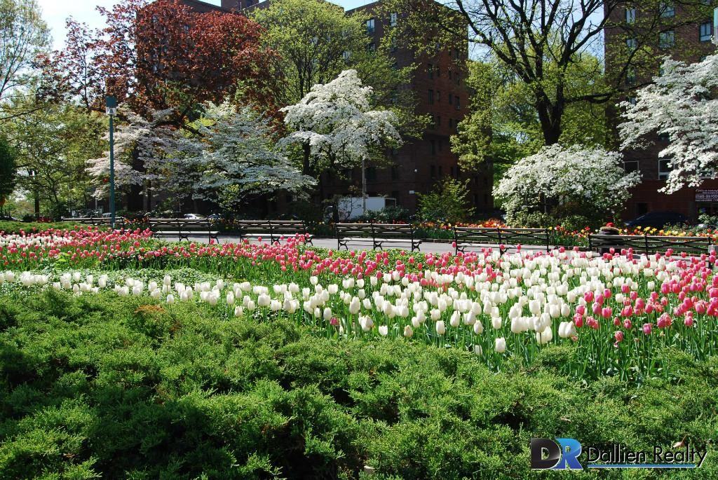 1675 Metropolitan Ave PC6F - Photo 3 of 4