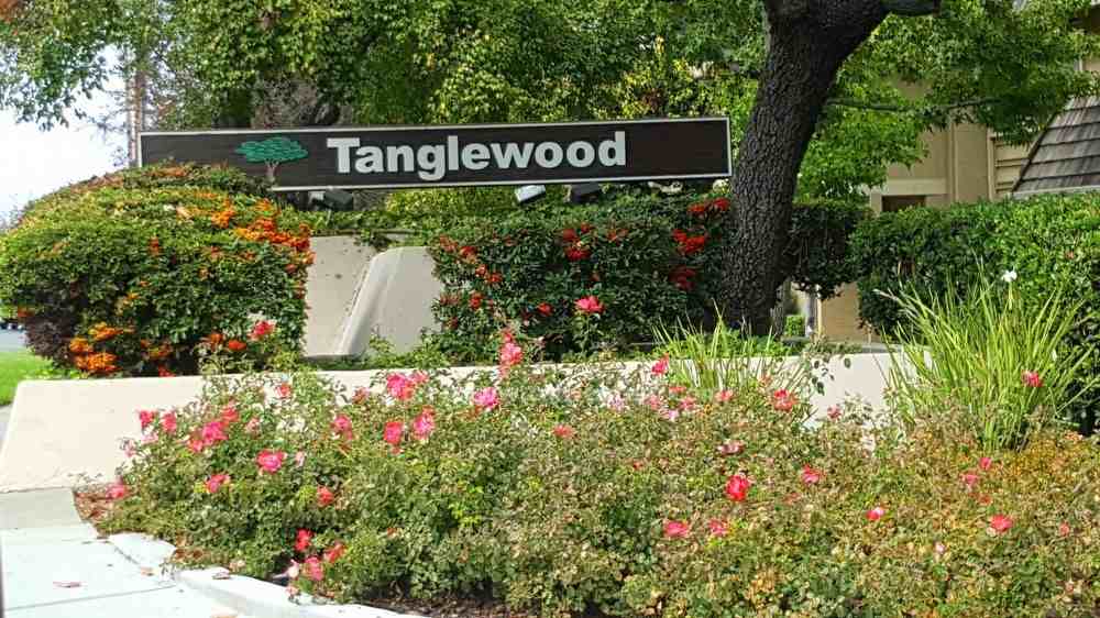 4636 Adobe River Ct - Photo 2 of 24