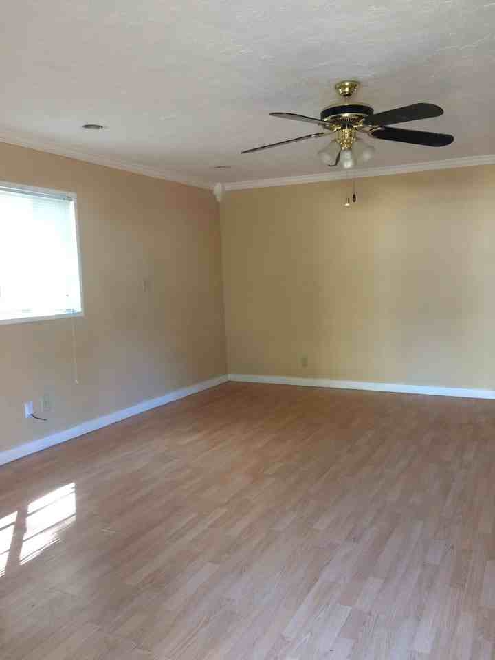 815 Johnson Ave - Photo 3 of 15