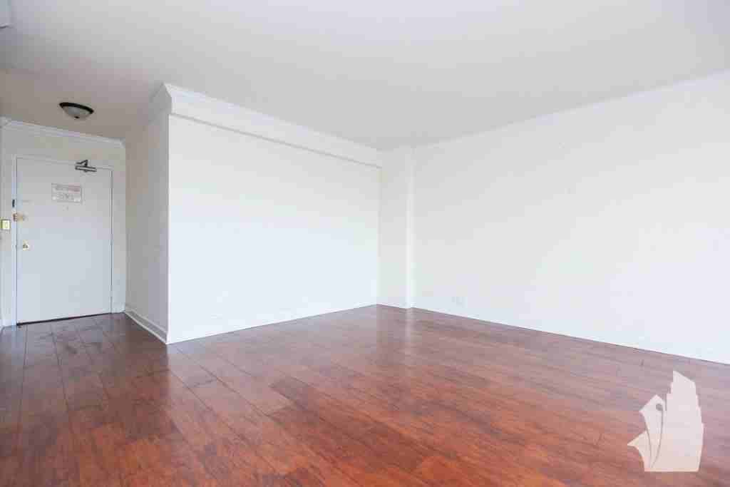 1432 North Sandburg Terrace 2304 - Photo 2 of 8