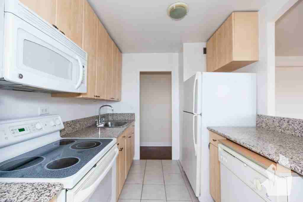 1432 North Sandburg Terrace 2304 - Photo 3 of 8