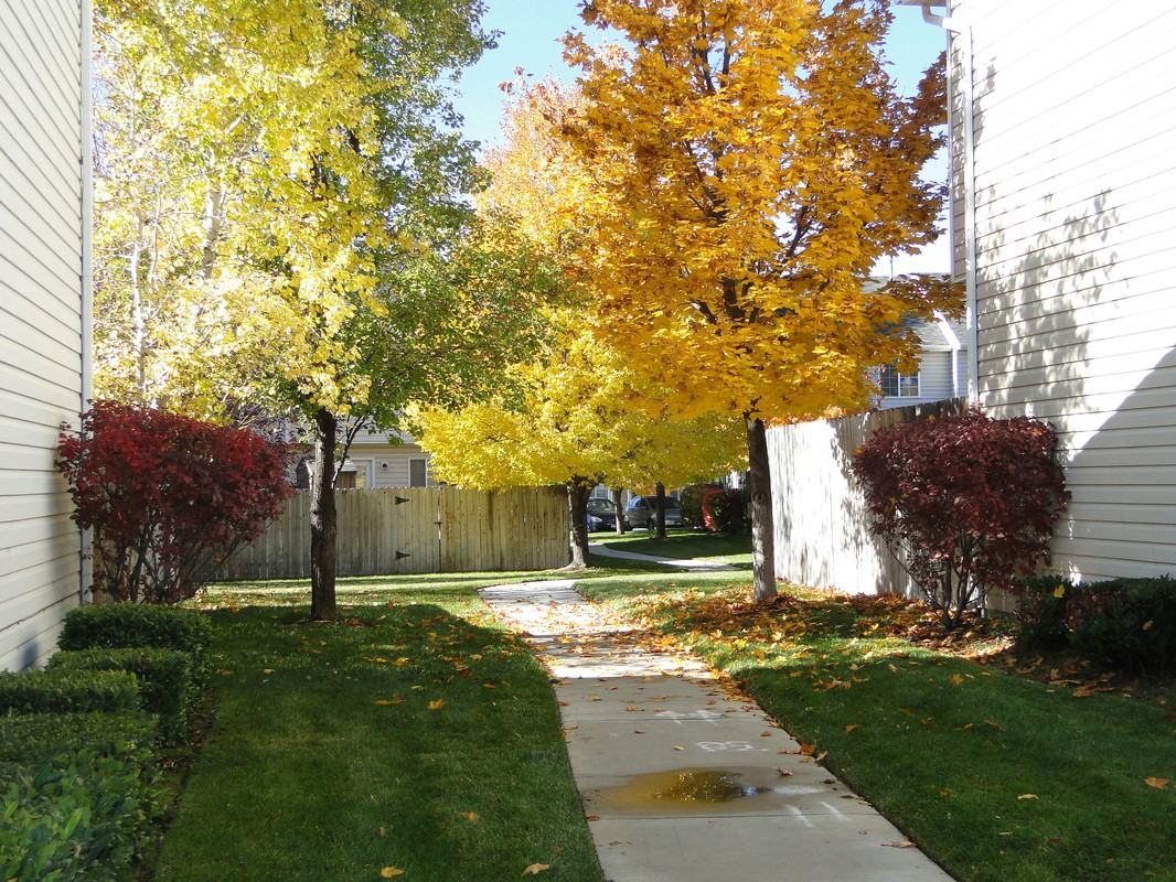 1112 Park Ridge Way - Photo 2 of 20