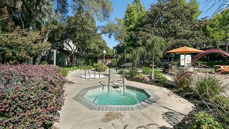 The Falls at Arden - Photo 2 of 24