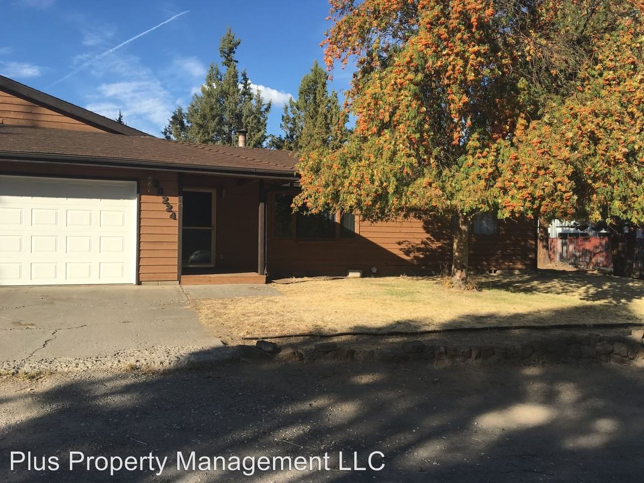 20220 Archie Briggs - Photo 2 of 13