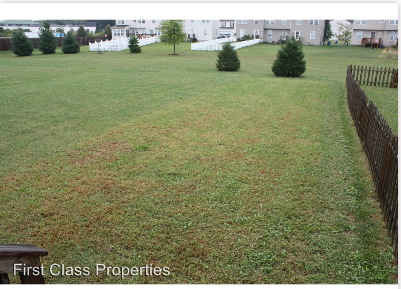 40 E Fred Cir - Photo 2 of 12