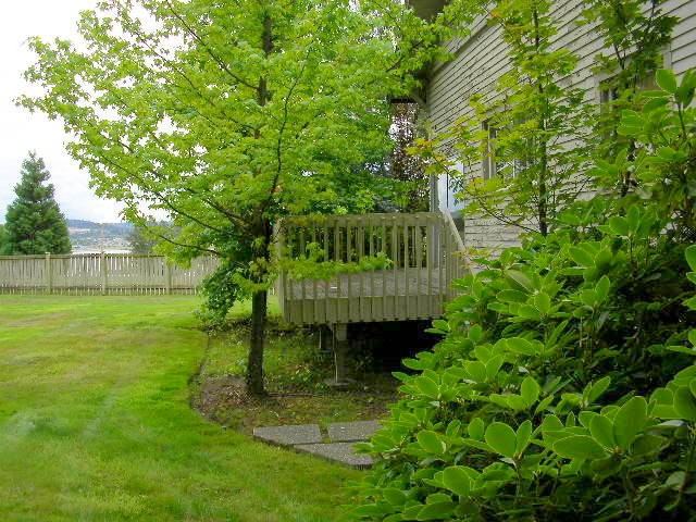 13415 Roosevelt Rd - Photo 3 of 11