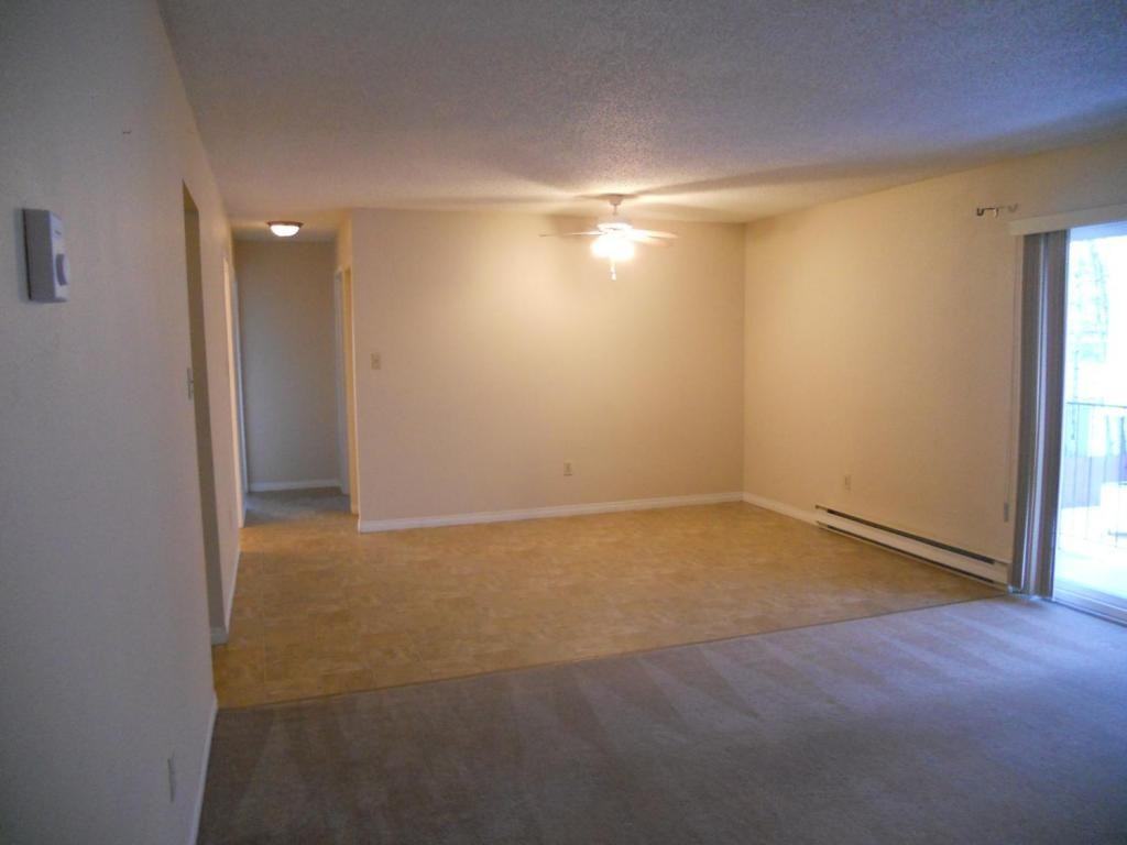 Jennifer Arms - Photo 2 of 4