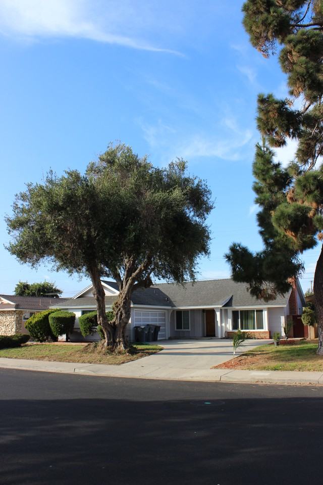 1321 Fuchsia St - Photo 3 of 26