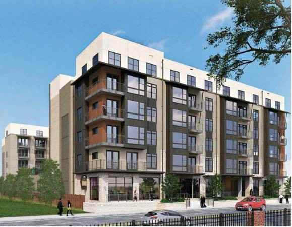 Kirby - Photo 3 of 12