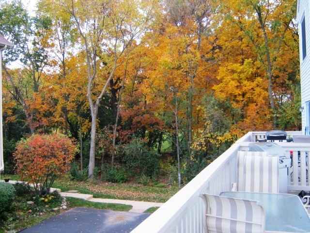 2609 N Augusta Dr - Photo 3 of 11