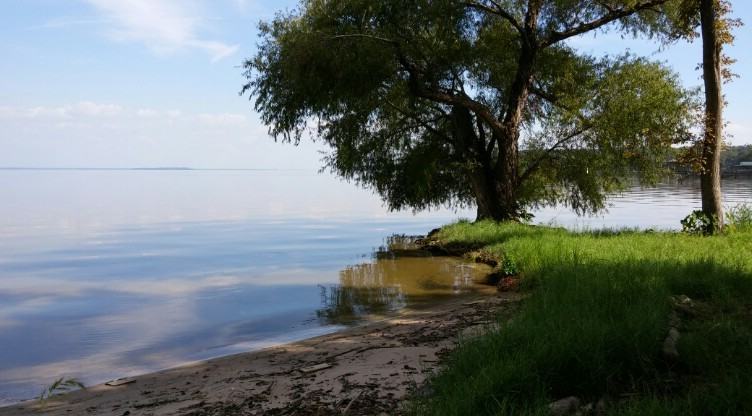 2 Johnson Rd - Photo 2 of 13