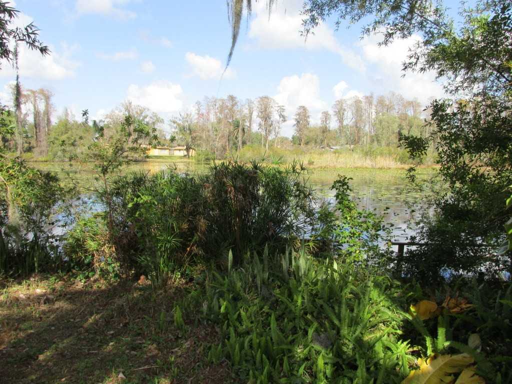 5707 Carrollwood Meadows Dr - Photo 3 of 14