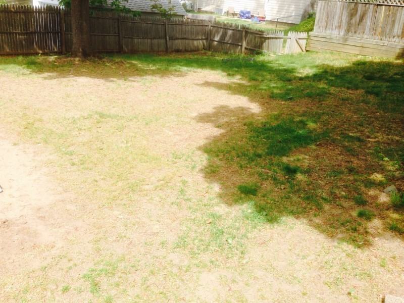 189 Dayton St - Photo 2 of 11