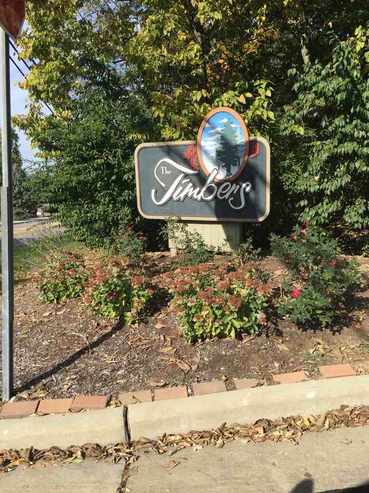 9819 Timbers Dr - Photo 2 of 18