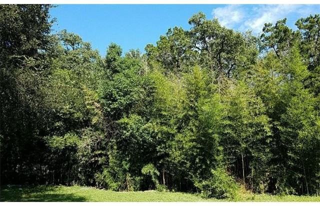 331 Rhodes Ln - Photo 2 of 12