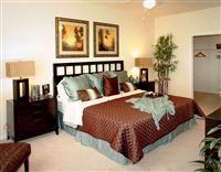 Grant Rd and Hwy 249 - Photo 3 of 7