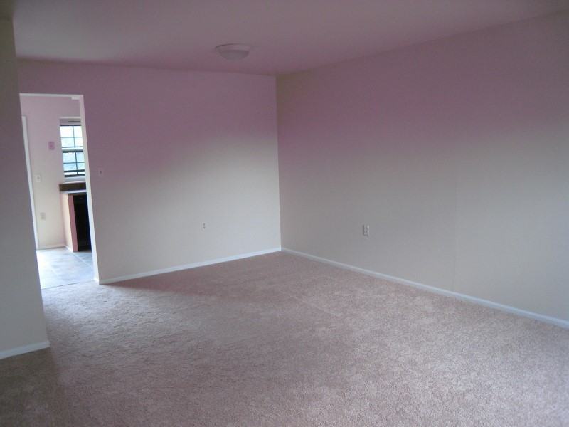 52 Duck Hawk Ct - Photo 2 of 14