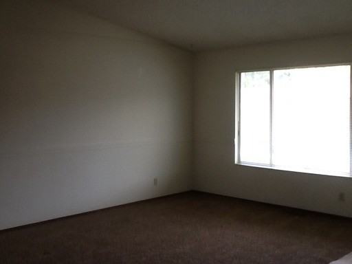 5409 Cassandra Way - Photo 3 of 13