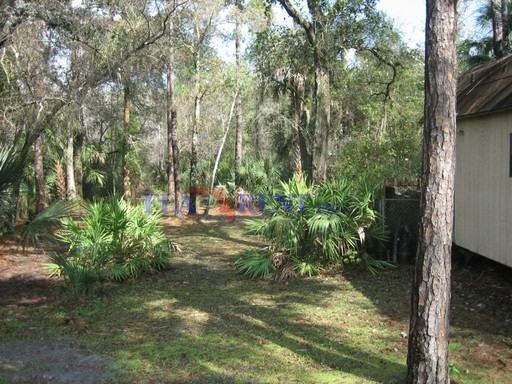 24733 E Colonial Dr - Photo 2 of 17