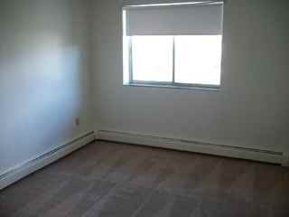 1 Petrel Road Quincy Ma 02169 1 Bedroom Apartment For Rent