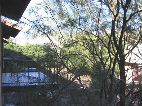 3407 E Presidio Rd - Photo 3 of 8