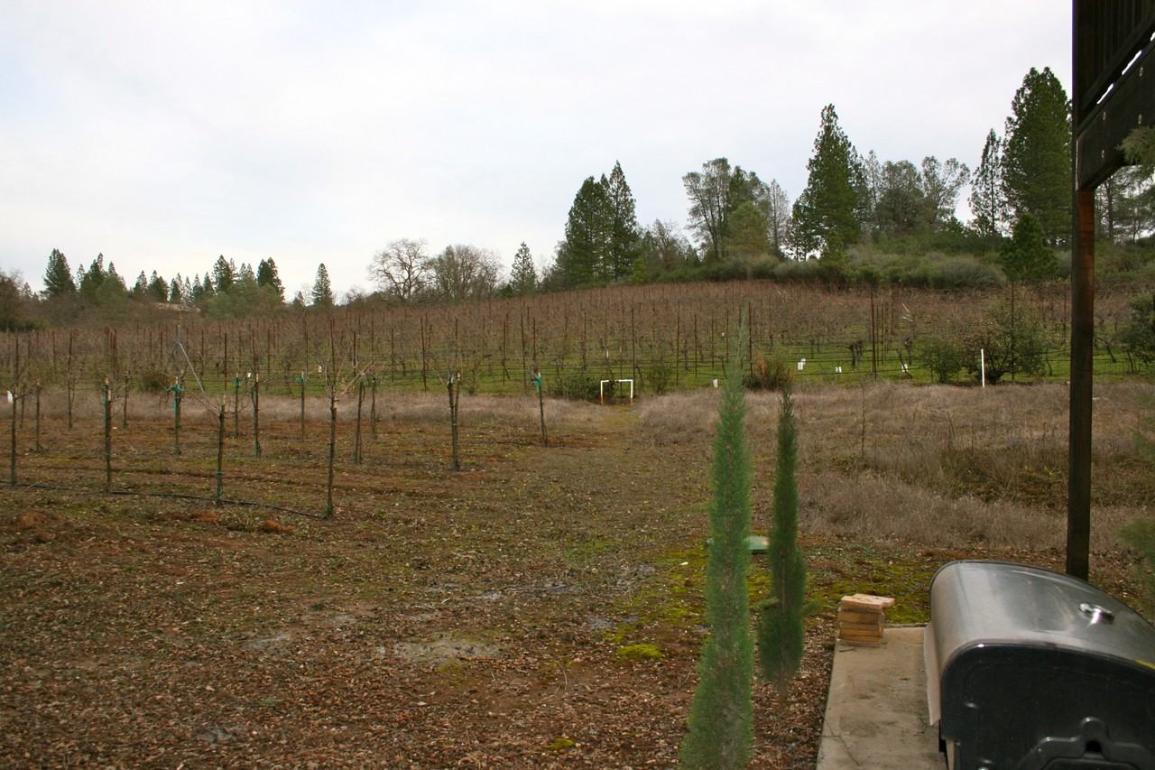 13885 Wilma Ct - Photo 2 of 13