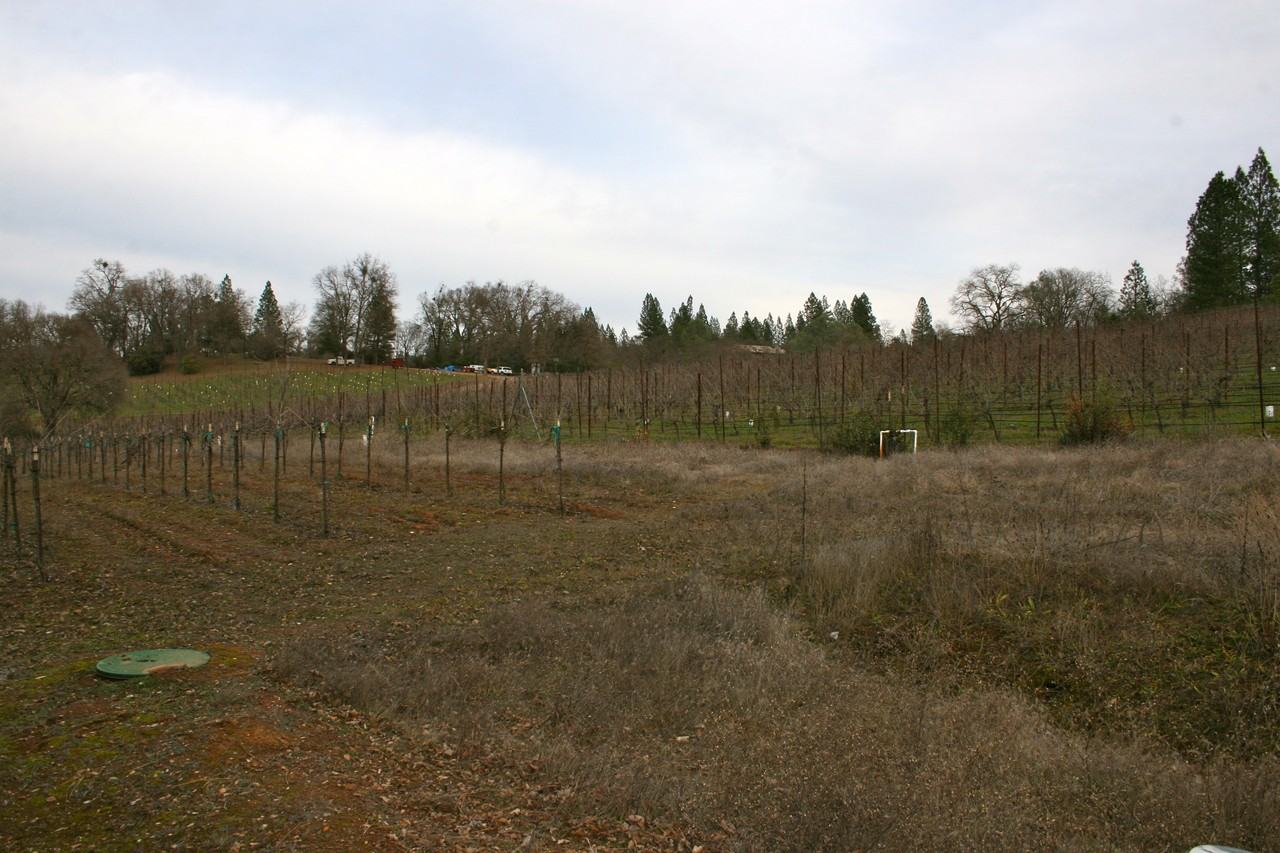 13885 Wilma Ct - Photo 3 of 13